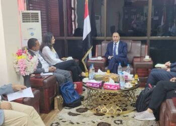 وزير الصناعة  يبحث مع  مدير العمل الدولية التعاون في مجال التشغيل