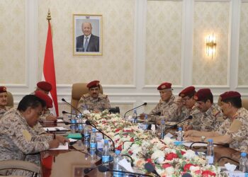 وزير الدفاع  يشدد علي رفع مستوى التنسيق لتعزيز القدرات القتالية