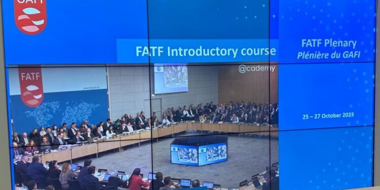 نائب وزير المالية يشارك في اجتماع مجموعة العمل المالي في باريس