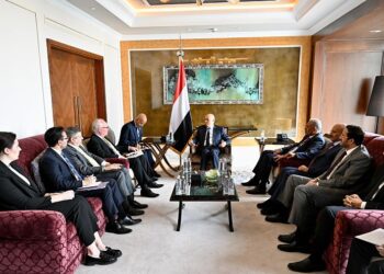 العليمي يبلغ المبعوث الاممي رفض اليمن للعدوان الاسرائيلي علي غزه