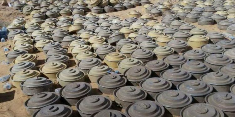“مسام” يتلف 1582 لغماً وعبوة ناسفة بباب المندب بتعز