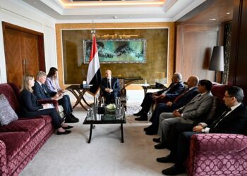 العليمي يبحث مع المبعوث الاممي  جهود استئناف عمليه السلام