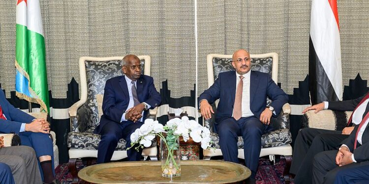 طارق صالح : تعزيز التعاون  بين اليمن وجيبوتي لحمايه الملاحه الدوليه