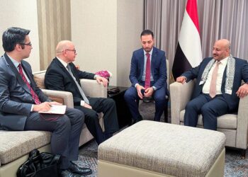 طارق صالح يبحث مع السفيرين الصيني و التركي جهود  السلام في اليمن