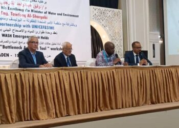 ورشتي عمل لمسؤولي التخطيط بالوزارات واداره الازمات