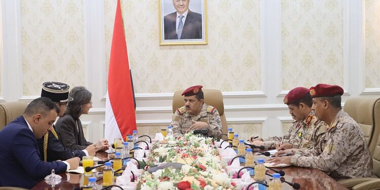 السفيره الفرنسيه  تبحث مع  وزيرا الدفاع والاعلام  العلاقات الثنائيه