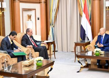 العليمي يبحث مع السفير المصري خارطة الطريق الامميه لتحقيق السلام