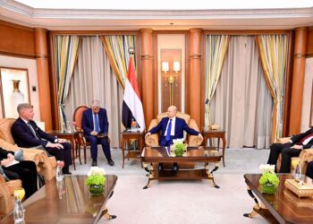 العليمي يبحث مع المبعوث الاممي استئناف عمليه السلام في اليمن