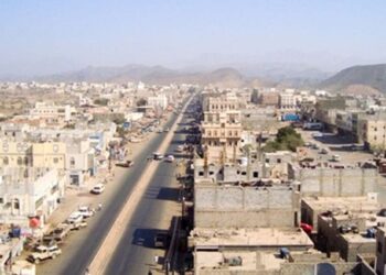 19 ملياراً و 570 مليون ريال عوائد مالية للإنتاج السمكي في لحج للعام 2023