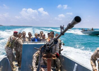 الإرياني يشيد بجهود قوات التشكيل البحري بالمنطقة الخامسة في تأمين الجزر