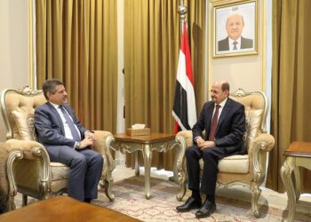 وزير الخارجية يبحث مع  السفير الأمريكي استئناف المساعدات التنموية والإنسانية
