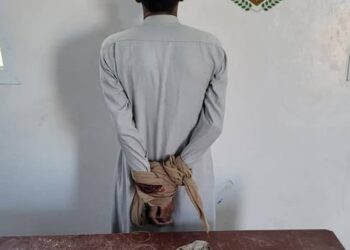 قوات دفاع شبوة تحبط محاولة تهريب كمية من المخدرات إلى عتق.