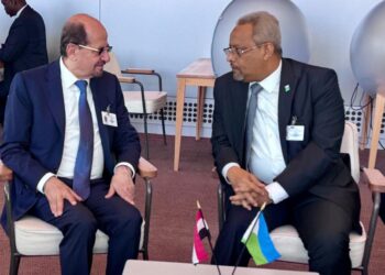 وزير الخارجية يبحث مع نظيره الجيبوتي آفاق تطوير التعاون المشترك