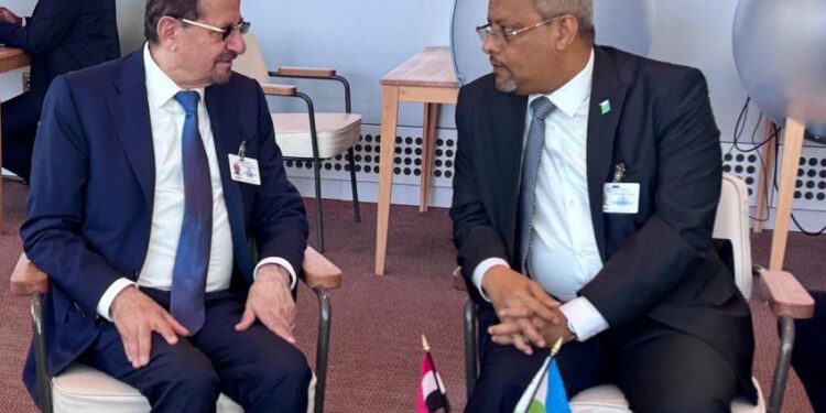 وزير الخارجية يبحث مع نظيره الجيبوتي آفاق تطوير التعاون المشترك