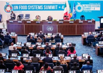 اليمن يشارك في الجلسات الحوارية بمؤتمر الأمم المتحدة للنظم الغذائية