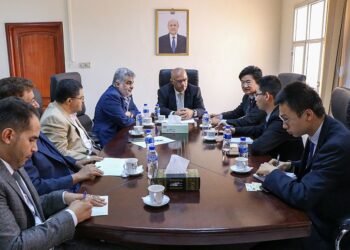 وزير التخطيط يبحث مع القائم بألاعمال   الصيني تعزيز التعاون والشراكة التنموية