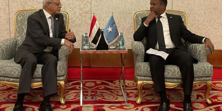 نعمان يبحث مع وزير الشؤون الخارجية الصومالي التنسيق للتصدي لمحاولة زعزعة امن واستقرار البلدين