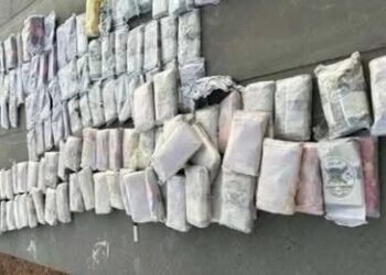 أمن وحماية منفذ الوديعة يحبط تهريب أكثر من 13 ألف قرص مخدر