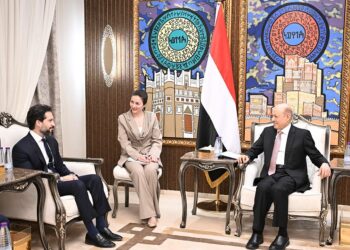 العليمي :يجب ردع انتهاكات المليشيات الحوثية لحقوق الإنسان