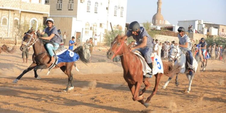 انطلاق تصفيات مهرجان مأرب للفروسية  احتفاء باعياد الثورة