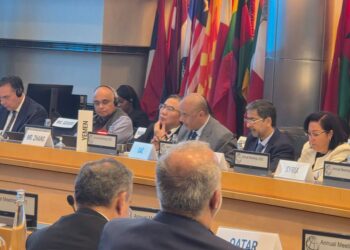 وزير التخطيط : خلق فرص العمل أساس الاستقرار والسلام في المنطقة