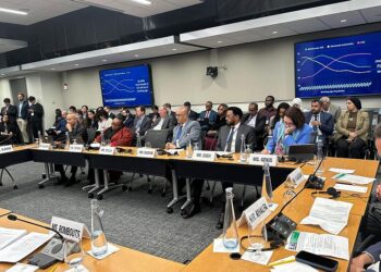 باذيب يشارك في المائدة المستديرة حول خلق فرص العمل في الدول الهشة