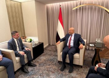 طارق صالح يبحث مع السفير الأمريكي الإصلاحات الاقتصادية