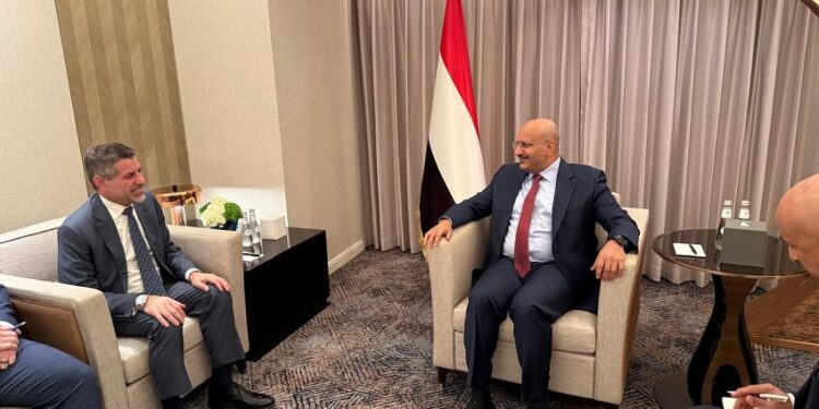 طارق صالح يبحث مع السفير الأمريكي الإصلاحات الاقتصادية