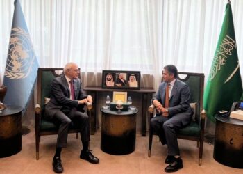 نعمان يبحث مع مندوبين السعودية والإمارات وعُمان والبحرين تعزيز التعاون في قضايا اللاجئين