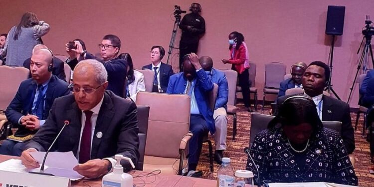 حركة عدم الانحياز تؤكد التزامها بدعم وحدة اليمن وسيادته وسلامة أراضيه