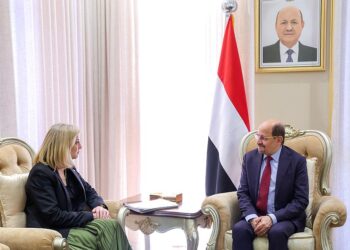 رئيس الوزراء يبحث مع وزيره نمساويه والسفير الامريكي مستجدات الأوضاع في اليمن