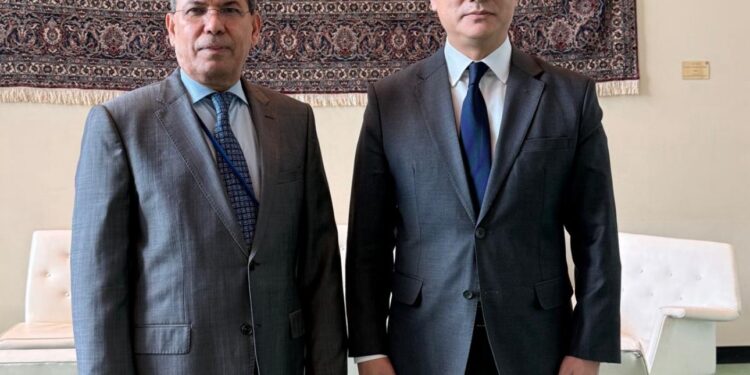 السعدي يناقش مع وفود الدول الدائمة العضوية في مجلس الأمن تطورات الأوضاع في اليمن