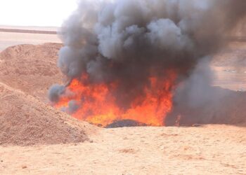 إتلاف كميات من المواد المخدرة والممنوعات في منفذ الوديعة