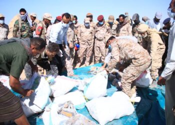 نيابة المنطقة العسكرية الثالثة تُتلف أكثر من 300 كجم من الحشيش