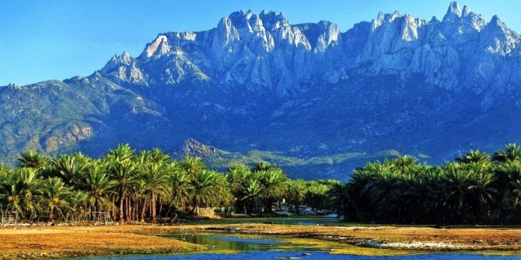 اليونسكو أرسلت بعثة رقابة إلى سقطرى بعد تقارير عن انتهاكات لمعاهدة حماية التراث العالمي