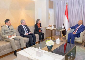 طارق صالح يبحث مع السفيرة الفرنسية جهود تثبيت الاستقرار وأمن الملاحة الدولية