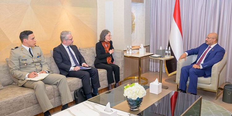 طارق صالح يبحث مع السفيرة الفرنسية جهود تثبيت الاستقرار وأمن الملاحة الدولية