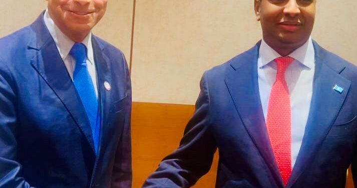 نعمان يبحث مع وزير الخارجية الصومالي تعزيز التنسيق الامني بين البلدين