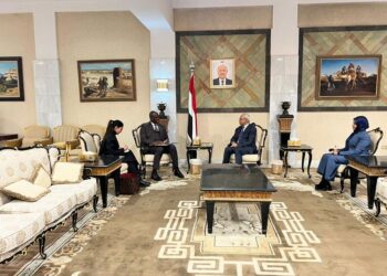 نعمان يبحث مع سفير جنوب أفريقيا عقد لجنة التشاور السياسي بين البلدين