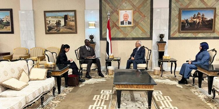 نعمان يبحث مع سفير جنوب أفريقيا عقد لجنة التشاور السياسي بين البلدين