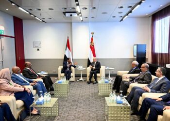 العليمي يجدد موقف اليمن الثابت والداعم لوحدة السودان وسيادته وسلامة أراضيه