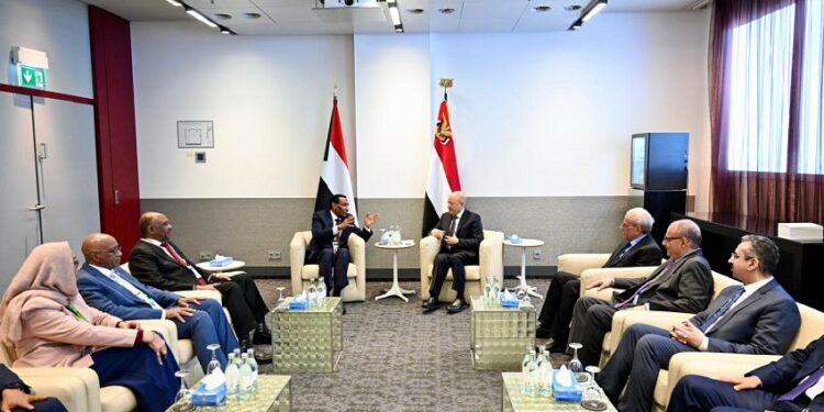 العليمي يجدد موقف اليمن الثابت والداعم لوحدة السودان وسيادته وسلامة أراضيه