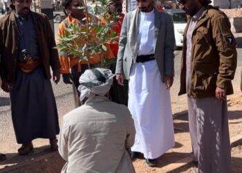 تدشين مشروع تشجير وتزيين الشوارع   بمديرية العبر