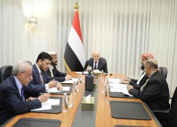 مجلس القيادة يؤكد دعمه الكامل للبرنامج الحكومي