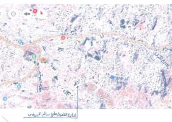 تعز تسمي شارعاً رئيسياً باسم علي سالم البيض