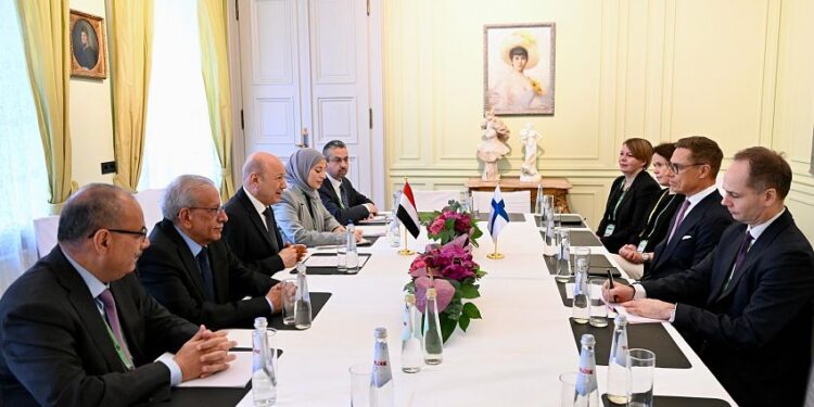 العليمي يبحث مع الرئيس الفنلندي الدعم الاوروبي لجهود استعادة مؤسسات الدولة
