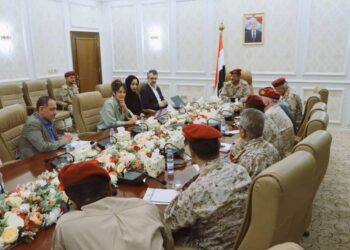 نائب رئيس الأركان يناقش مع خبيرة دولية ملف تجنيد الأطفال