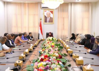 وزيرة التخطيط تبحث مع المنظمات الدولية غير الحكومية تطوير آليات العمل الإنساني والتنموي