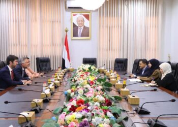 وزيرة التخطيط تبحث مع سفير الاتحاد الأوروبي سبل تعزيز الشراكة التنموية والاقتصادية