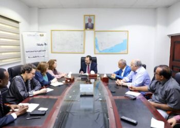 وزير الكهرباء يبحث مع البرنامج الإنمائي تعزيز التعاون في مشاريع الطاقة المتجددة